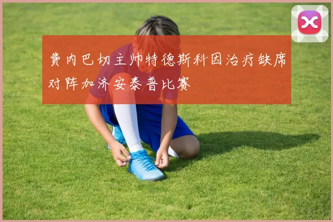 费内巴切主帅特德斯科因治疗缺席对阵加济安泰普比赛