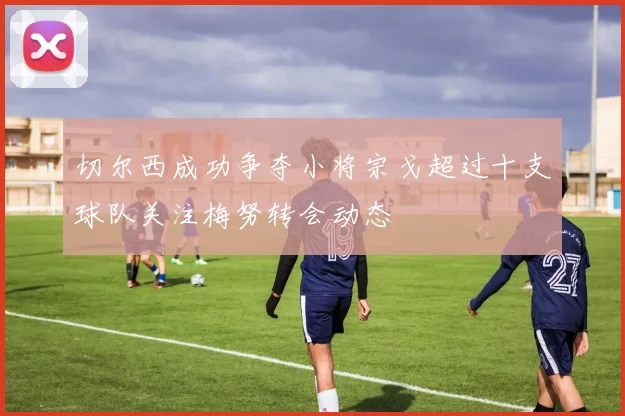 切尔西成功争夺小将宗戈超过十支球队关注梅努转会动态